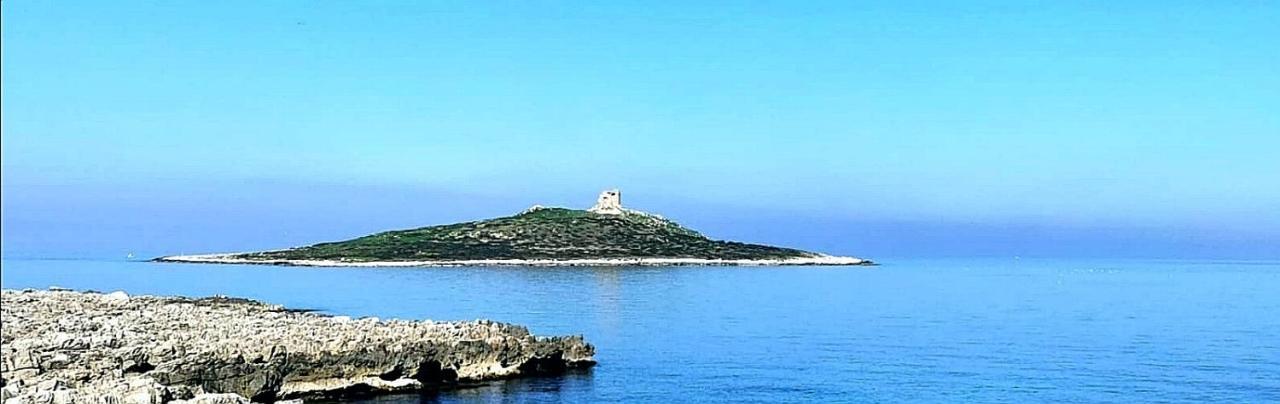 La Terrazza Sul Golfo Bed & Breakfast Isola delle Femmine Bagian luar foto